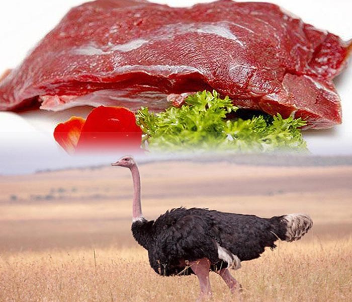 Thịt đà điểu có giá trị dinh dưỡng cao